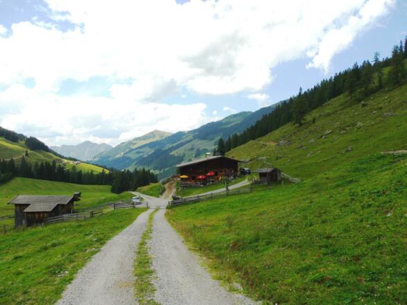 Faulbaumgartenalm Inneralpbach