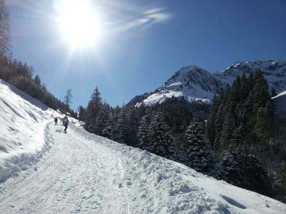 Rodelgaudi Inneralpbach