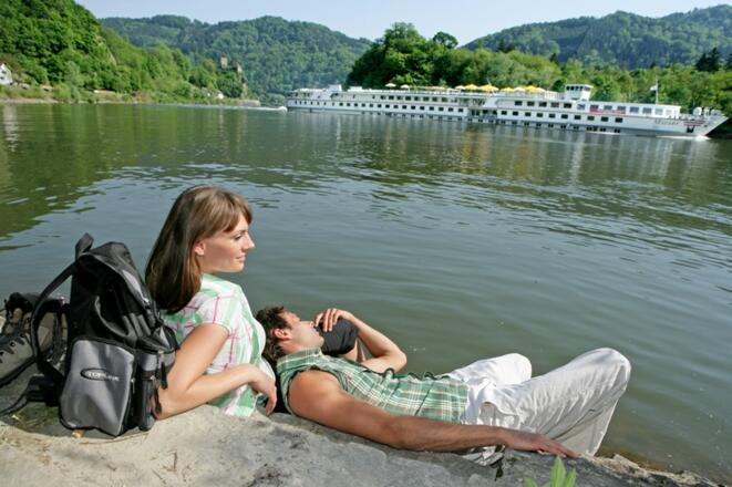 Insel Wörth, Burg Werfenstein
