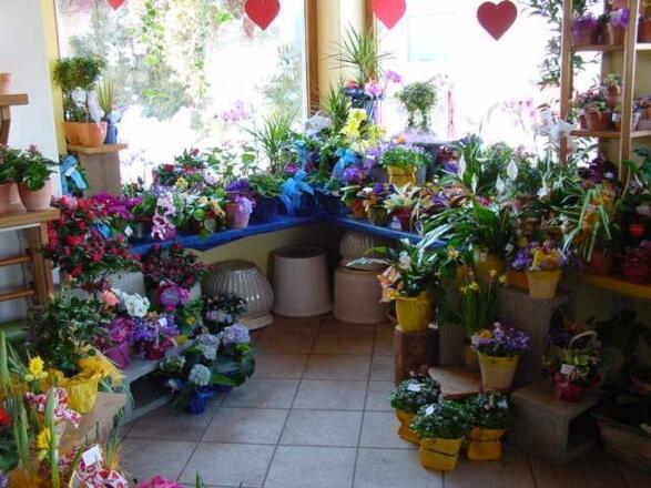 Blumen Reißer Innenraum