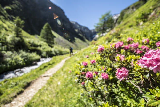 Auf dem Weg Nr. 778 in den Gollingwinkel
