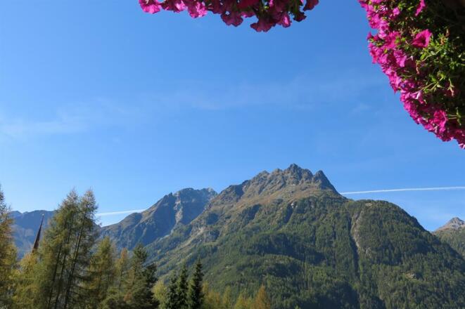Gästehaus Judith Bergblick Sommer (3)