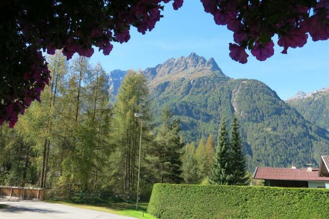 Gästehaus Judith Bergblick Sommer (2)