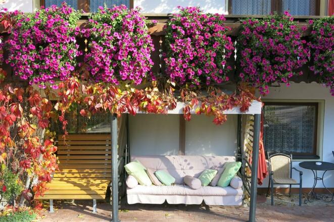 Gästehaus Judith Garten Sommer