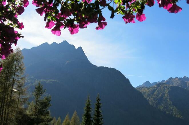 Gästehaus Judith Bergblick Sommer (4)