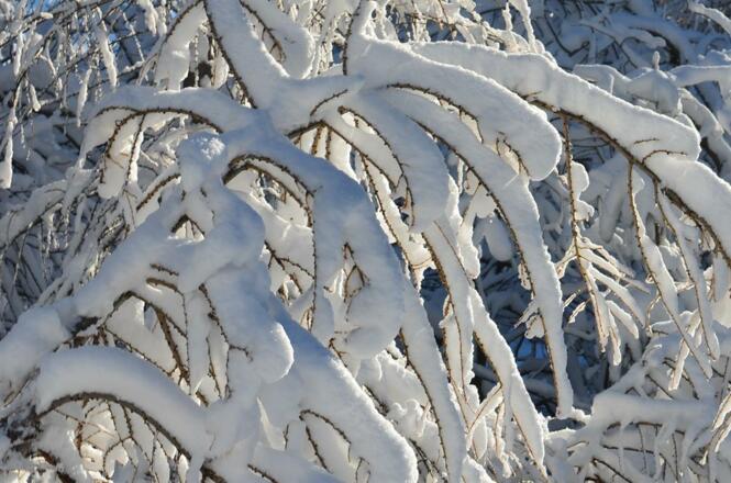 Stimmungsbild Winter