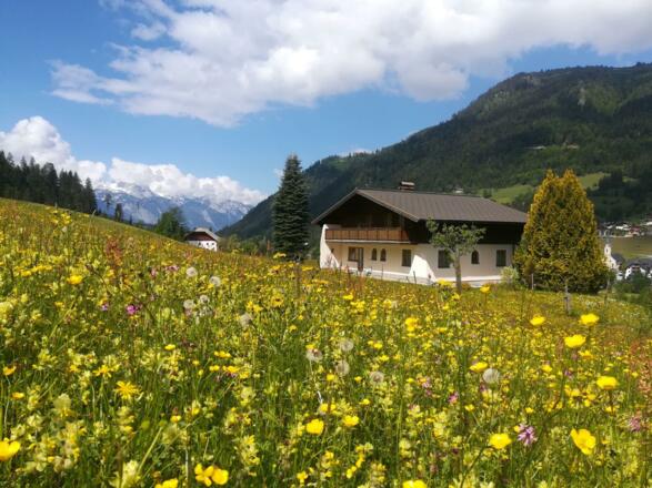 Ferienhaus-Dachstein-West-Russbach-Tennengau