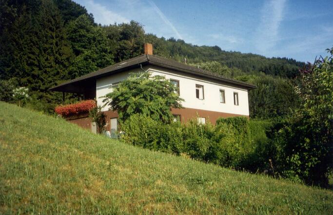 Privatzimme Donaublick