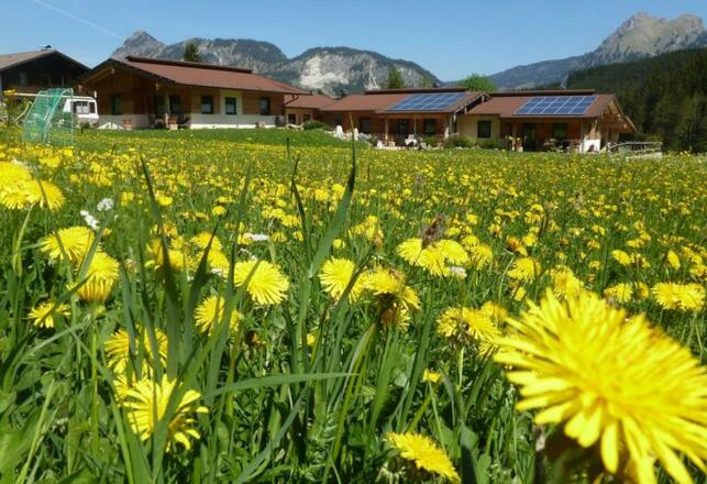 Frühlingserwachen im Almdorf Tirol