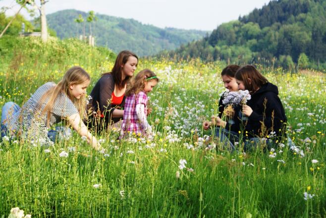 Kinder in der Blumenwiese