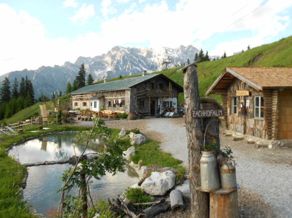 Zachhofalm Sommer