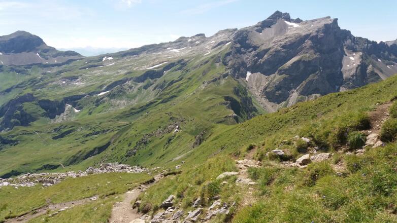 Hinter dem &quot;Panoramaschild&quot; zweigen wir nach links ab.