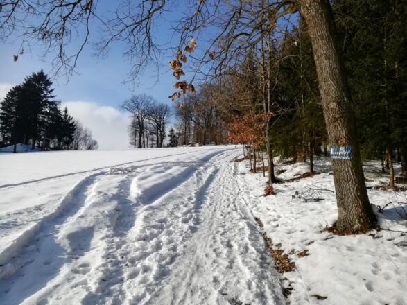 Nordwaldkammweg beim NWKW-Denkmal St, Peter
