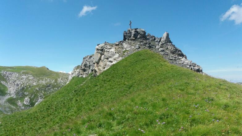 Gorfion mit Blumenwiese und Gipfelkreuz.