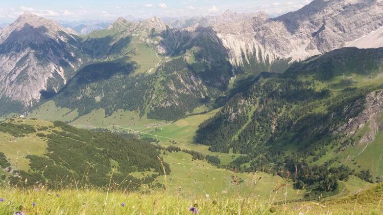 Wir blicken von der Blumenwiese hinab zum Nenzinger Himmel.
