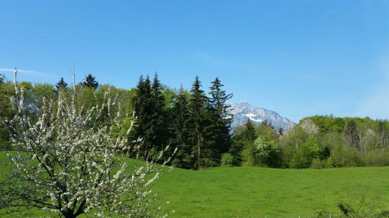 Ausblick Untersberg von Kainzreith_Foto Lackner (5