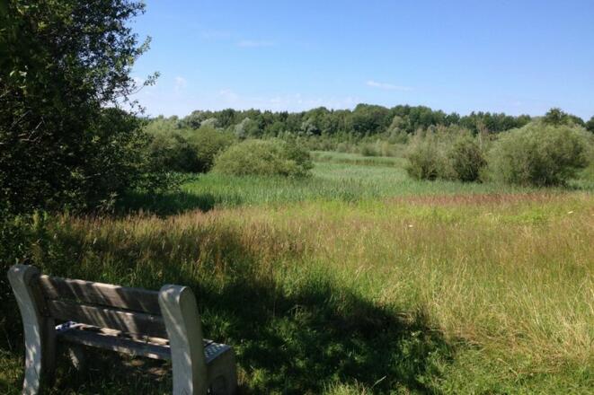 Sitzbank Tonwerkweiher