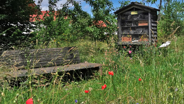 Ökopark Kiefersfelden - Station 5 Kieferer Energiewanderweg