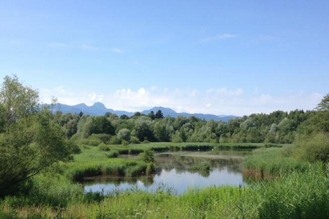Tonwerkweiher Kolbermoor mit Alpenblick