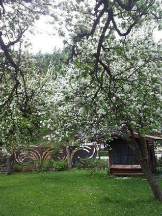 Saunahäuschen umrahmt von Obstbäumen