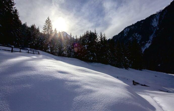 Waldcafe_Stubai-Landschaft
