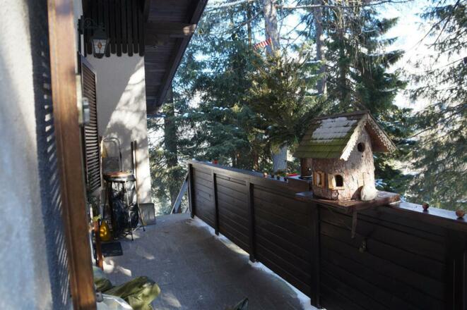 Balkon mit Blick in den Wald