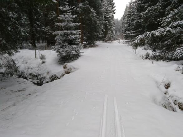 Loipe 21 Holzmühle - Neudorf