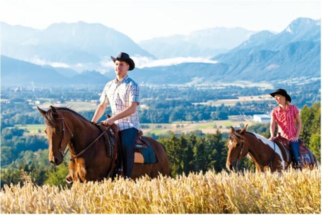 Bio-Pferdehof Trausner