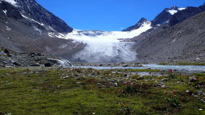 Yoga-Energieplatz Franz-Senn-Hütte