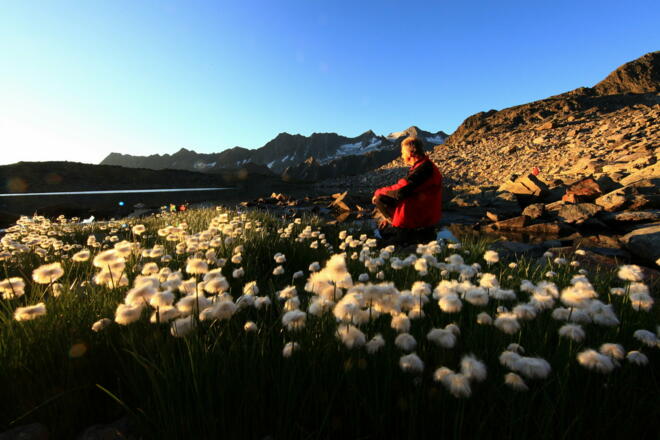 Yoga-Energieplatz Franz-Senn-Hütte
