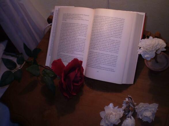 mal in einem Buch schmöckern