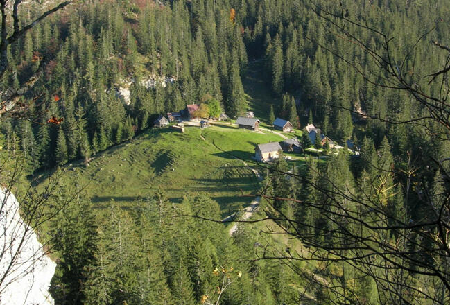 Die Hütteneckalm von oben gesehen