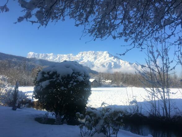 129cf1b0-0867-4e88-83eb-1429919a1e64