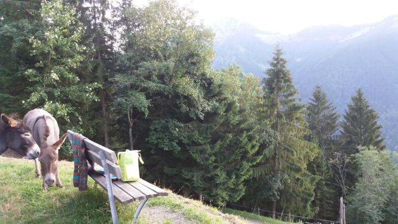 Holzbank am Parkplatz.