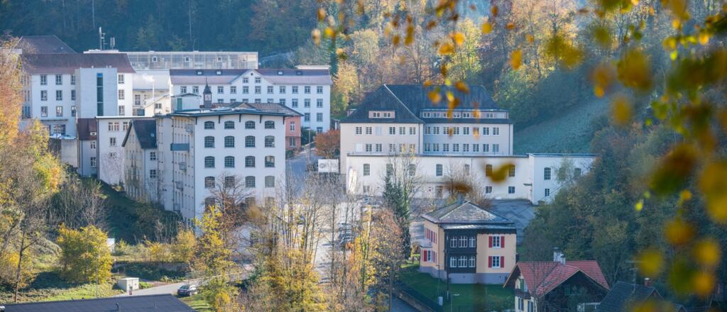 Steinebach Areal Dornbirn