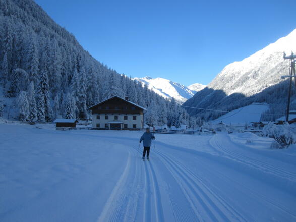 Die Loipe ist immer gut gespurt.