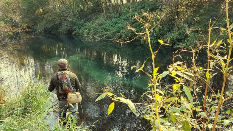 Fliegenfischerrunde Pesenbach