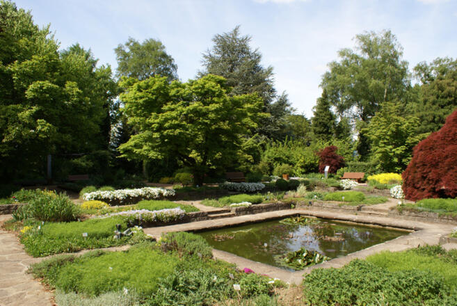 Botanischergarten6_Linz%c2%a9linztourismus_LE_052010