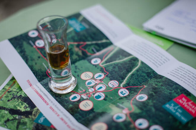 Kraft der Bäume Folder