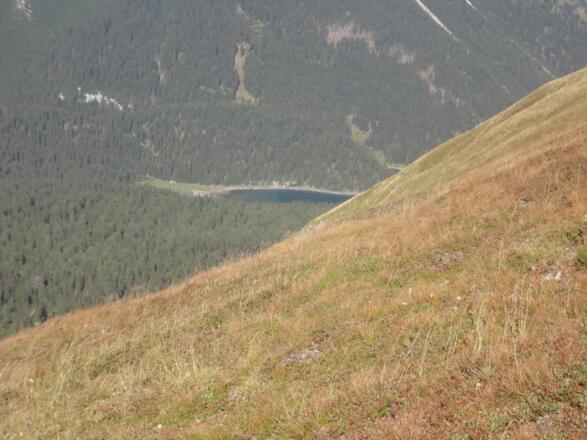 Blick auf den See vom Seeblickweg