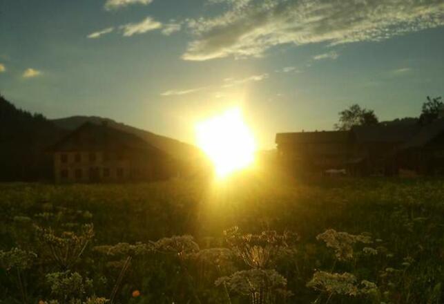 Hotel ***Drei Tannen