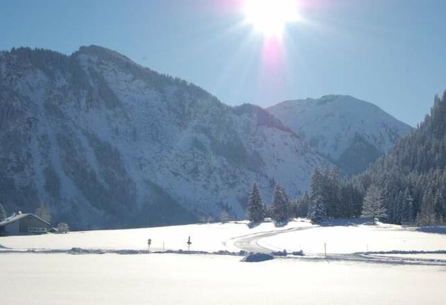 Hotel ***Drei Tannen