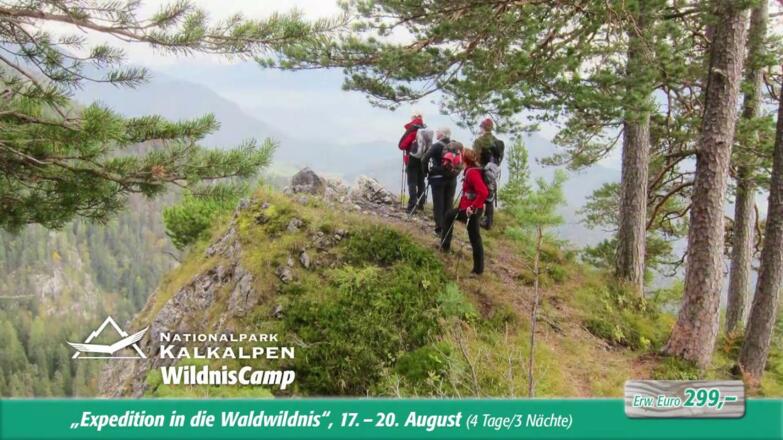 Expedition in die Waldwildnis des Nationalpark Kalkalpen im WildnisCamp - Geführte 4-Tages-Tour