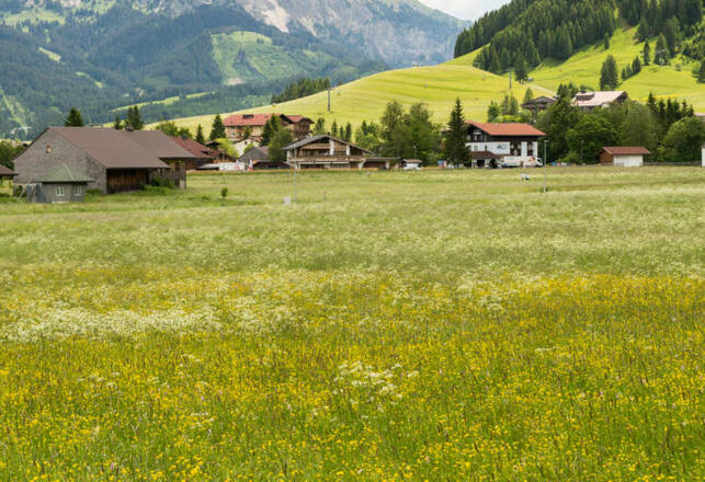 Hotel ***Drei Tannen