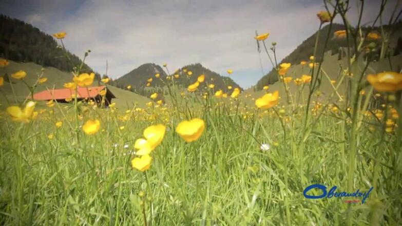 Urlaub in den Bergen - Natur Oberaudorf