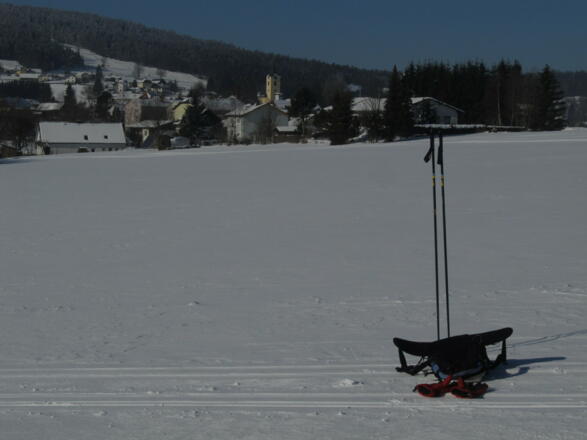 Rindlbergloipe 19 in Sandl