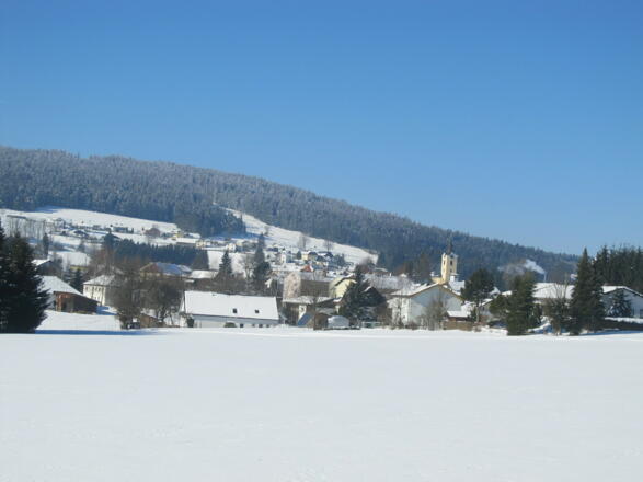 Sandl im Winter mit Viehberg
