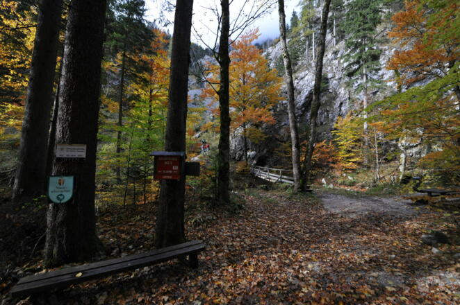Kaisertisch- Blick von der Forststraße
