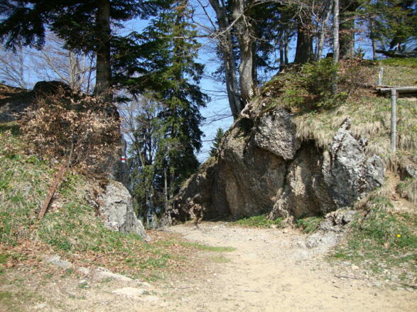Das Steinerne Tor in Riefensberg