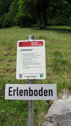 Der Erlenboden am Walser Kulturweg